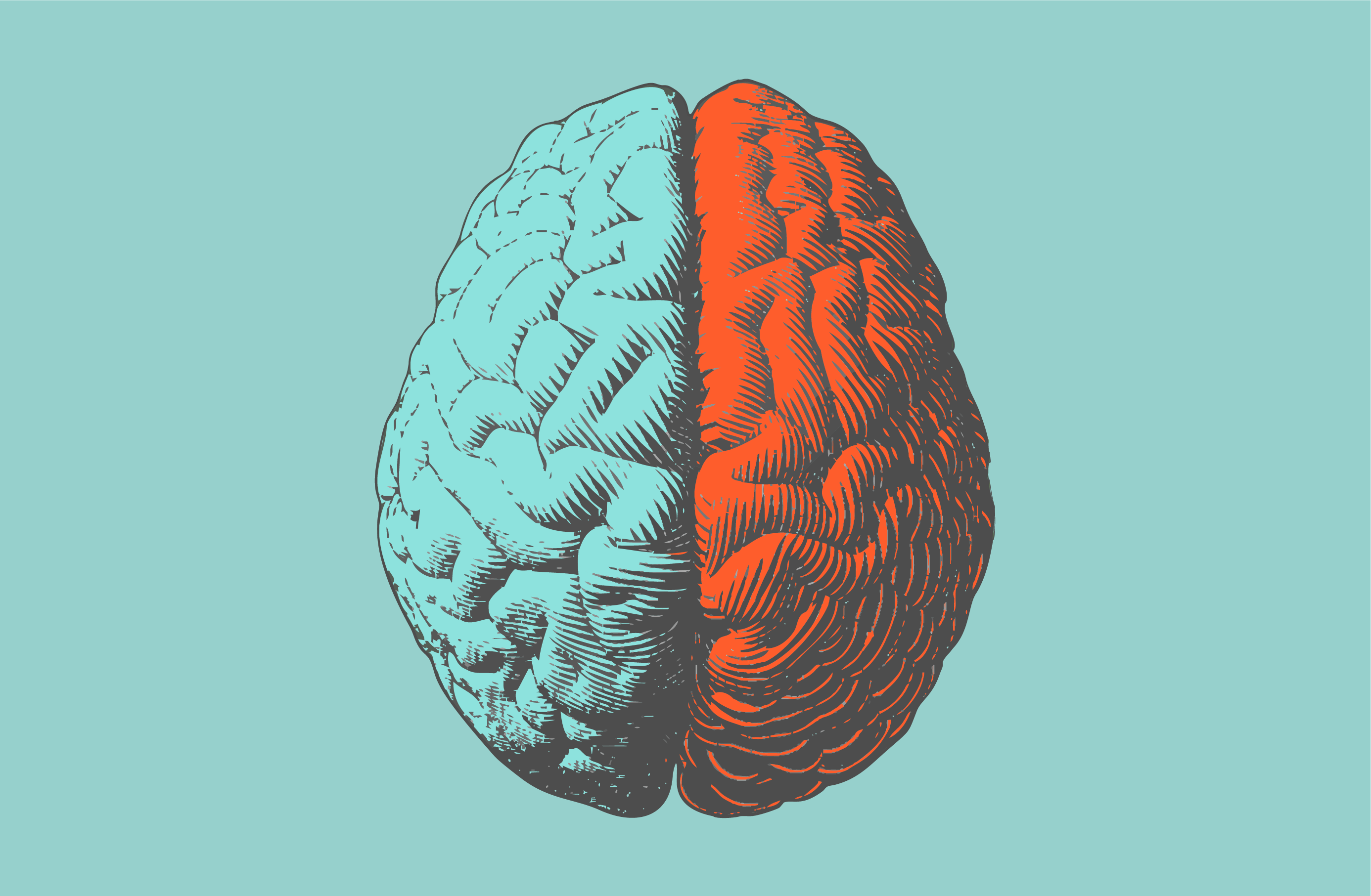 Left Brain vs. Right Brain Marketing: Why Not Both?